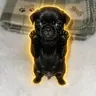 Nugget