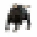 moo