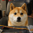 DIC
