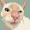 CUTECAT