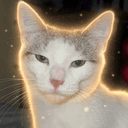 MOGCAT