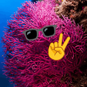 pinkcoral001