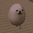 EGGDOG