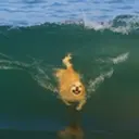 Chubbers