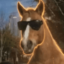 HORSES