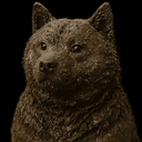 dogshit
