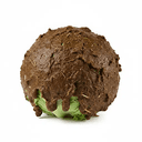 lettuce