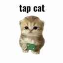 tapcat