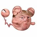 POKETRUMP