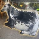 COWCH