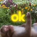 ok