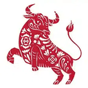 bull
