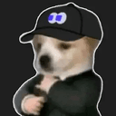 Fomo Dog