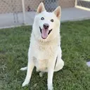 SOL