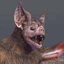 DFF
