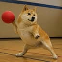 DOGEBALL