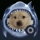 sharkify