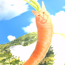 carrotcat