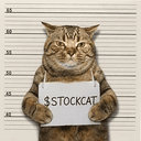STOCKCAT