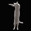 looong cat