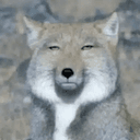 眠い