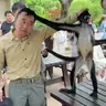 豆豆