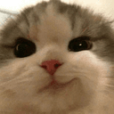 SMIRKCAT