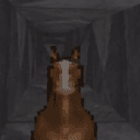 horse