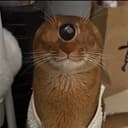 AlienCat