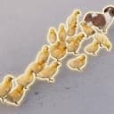 BROOD