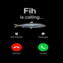 FIH