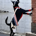 PATRIOT
