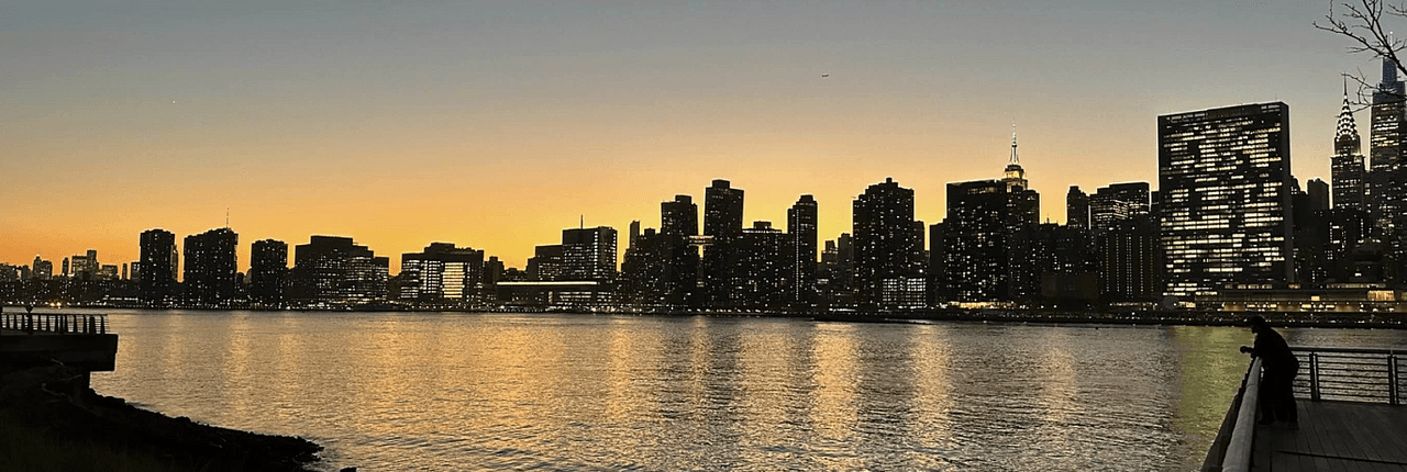 Dog Shit Going NoWhere Banner