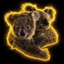 KOALAS