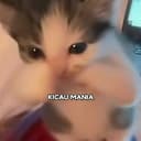 KICAU