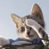 UKWNBNIj