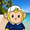 Monke