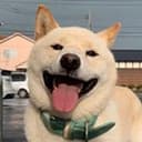 Hakuchan
