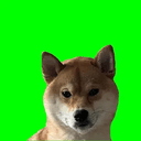 GSD