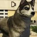Jax