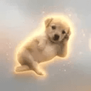 CHILLDOG