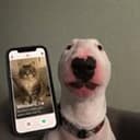 catfished