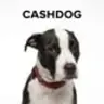 CASHDOG