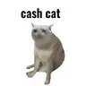 CASHCAT