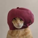 kitty