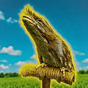 Frogmouth