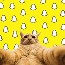 snapcat