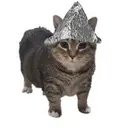 PSYOPCAT