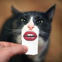 $LIPS