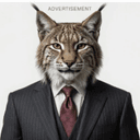 Bobcat